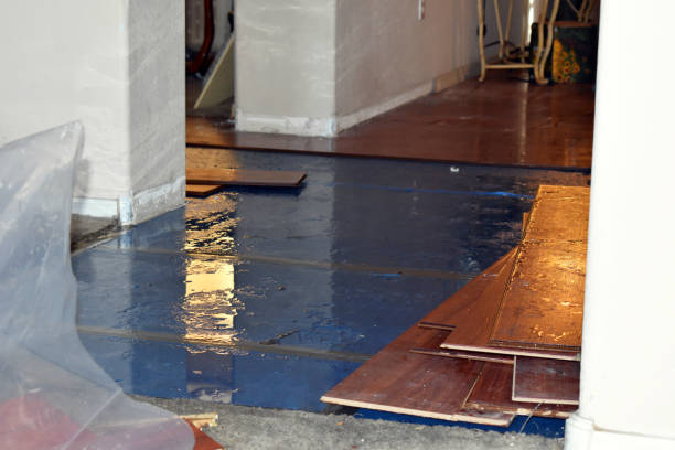 Professional Sewage Cleanup technician working in Berger, MO